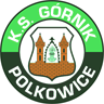 Górnik Polkowice herb